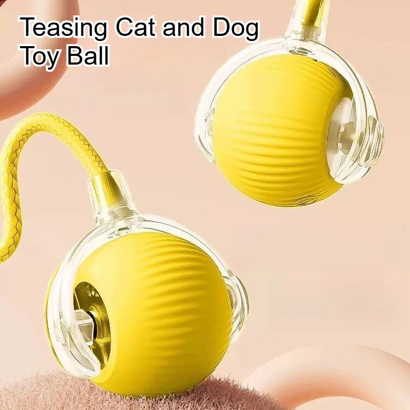 Interactive Pet Ball Toy – Durable Rope Teaser for Dogs & Cats