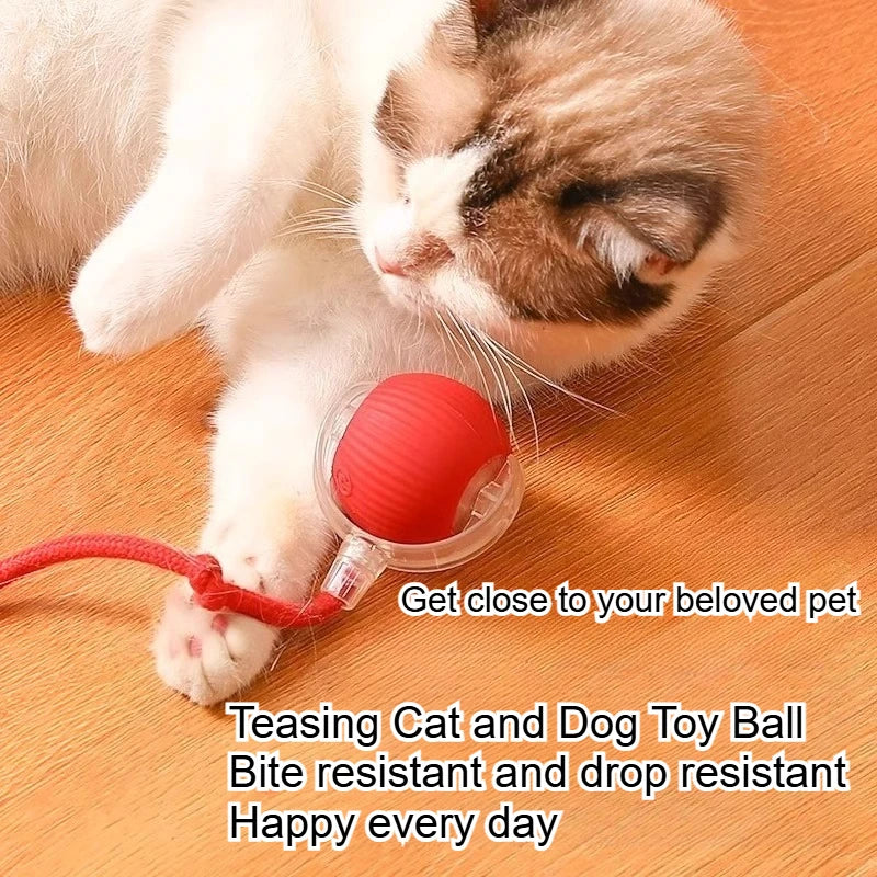 Interactive Pet Ball Toy – Durable Rope Teaser for Dogs & Cats