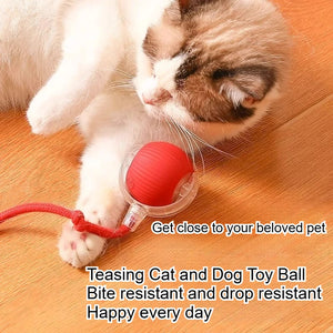 Interactive Pet Ball Toy – Durable Rope Teaser for Dogs & Cats