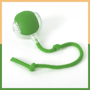 Interactive Pet Ball Toy – Durable Rope Teaser for Dogs & Cats