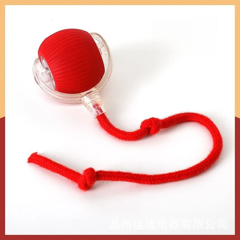 Interactive Pet Ball Toy – Durable Rope Teaser for Dogs & Cats