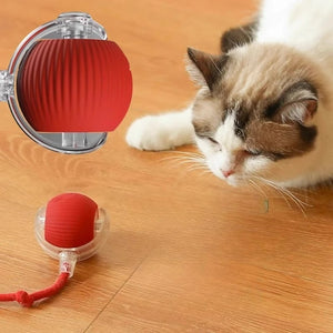 Interactive Pet Ball Toy – Durable Rope Teaser for Dogs & Cats